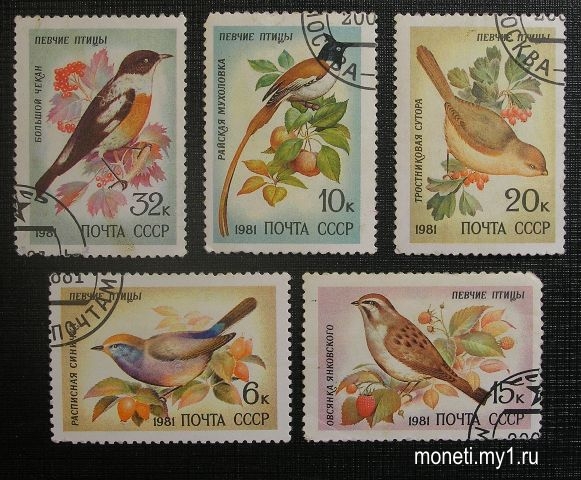 Марки Певчие птицы 1981 (СССР)