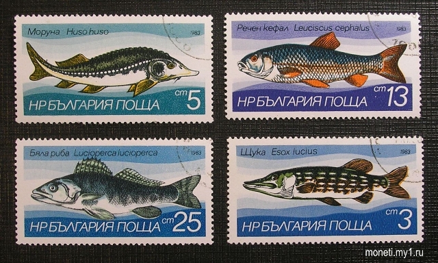 Набор марок Рыбы 1983 (Болгария)