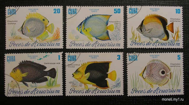 Набор марок тропические рыбы 1985 (Куба)