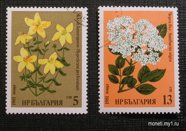 Марки Растения 1981 (Болгария)