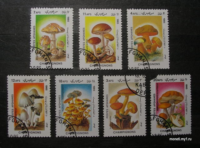 Набор морок Грибы 1985 (Афганистан)